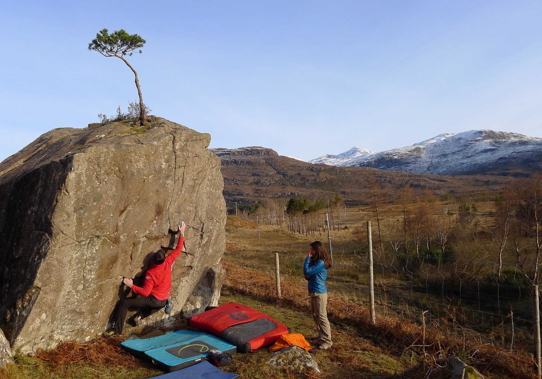 Italian Dude on Mac Bonzai